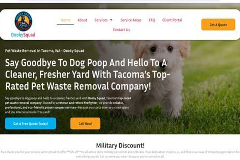 Previous Dooky Squad WordPress site on a slow, expensive proprietary platform